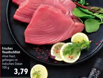 CITTI Markt Frisches Thunfischfilet Angebot