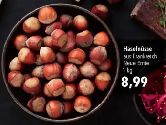 CITTI Markt Haselnüsse Angebot