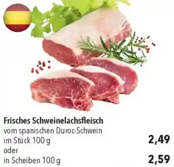 CITTI Markt Frisches Schweinelachsfleisch Angebot