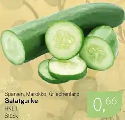 Dornseifer Salatgurke Angebot