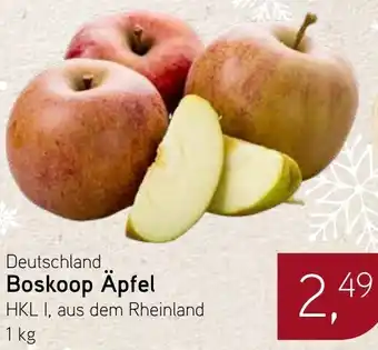 Dornseifer Boskoop Äpfel Angebot
