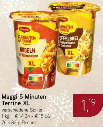 Dornseifer Maggi 5 Minuten Terrine XL Angebot