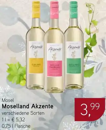 Dornseifer Mosel Moselland Akzente Angebot