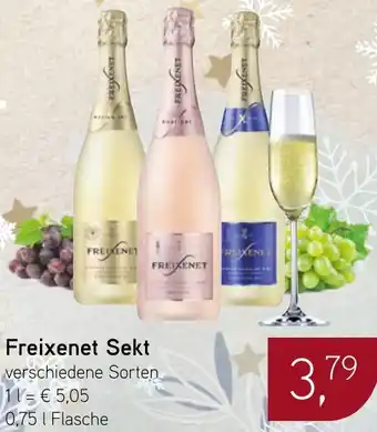 Dornseifer Freixenet Sekt Angebot