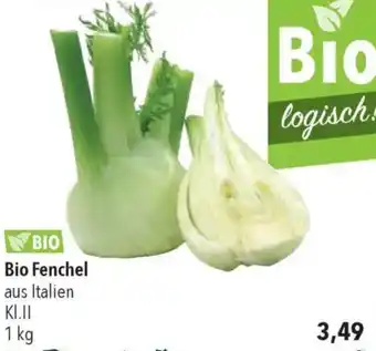 CITTI Markt Bio Fenchel Angebot