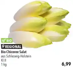CITTI Markt Bio Chicoree Salat Angebot