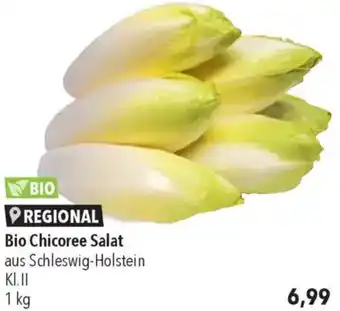 CITTI Markt Bio Chicoree Salat Angebot