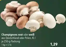 CITTI Markt Champignons rosé oder weiß Angebot