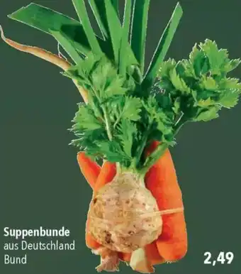 CITTI Markt Suppenbunde Angebot