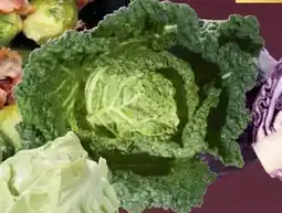 CITTI Markt Spitzkohl Angebot