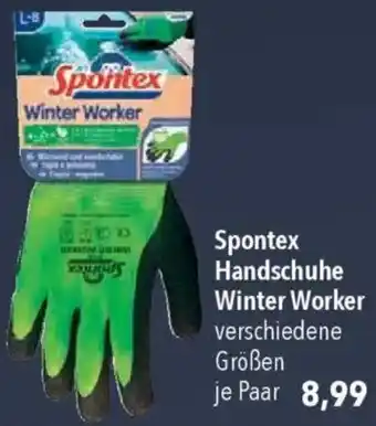 CITTI Markt Spontex Handschuhe Winter Worker Angebot