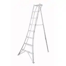 Netto Marken-Discount NIWAKI 3-Holm-Gartenleiter, 240 cm Angebot