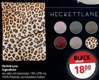 CITTI Markt Heckett Lane Tagesdecke Angebot