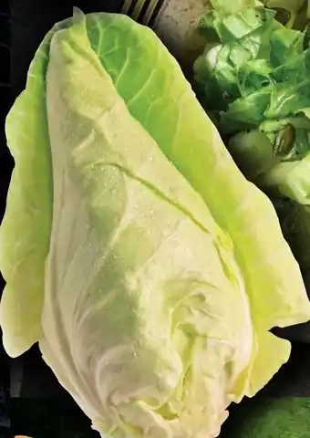 Handelshof Spitzkohl Angebot