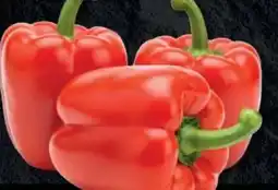 Handelshof Rote Paprika Angebot