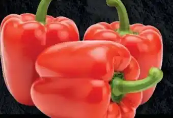 Handelshof Rote Paprika Angebot