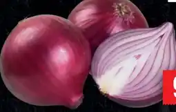 Handelshof Zwiebeln Angebot