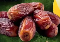 Handelshof Datteln Angebot