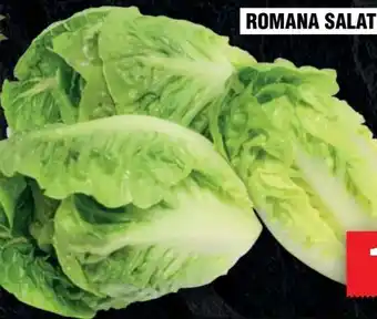 Handelshof Romana-Salatherzen Angebot