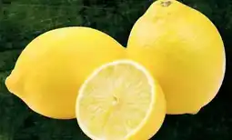 Handelshof Zitronen Angebot