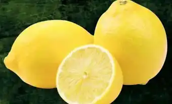 Handelshof Zitronen Angebot