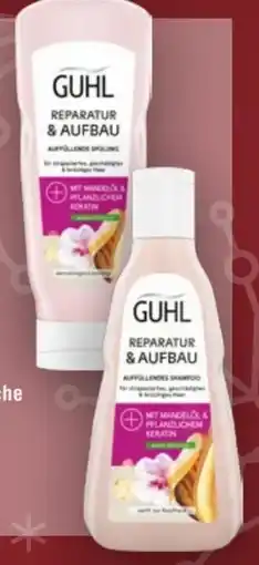 Handelshof Guhl Shampoo Angebot