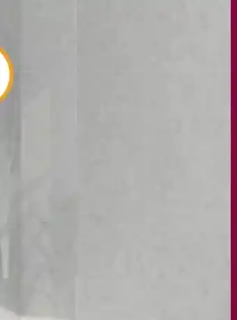 Hornbach Jungborn Seitenwand Walk-In Tria Angebot