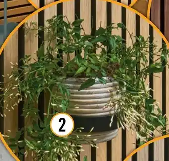 Hornbach Sonava Function Blumentopfring Angebot