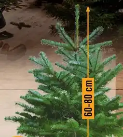 Hornbach Nordmann-Tanne Angebot