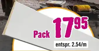 Hornbach Wandleiste Shaker Angebot