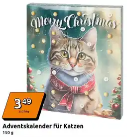 Action Adventskalender für Katzen Angebot