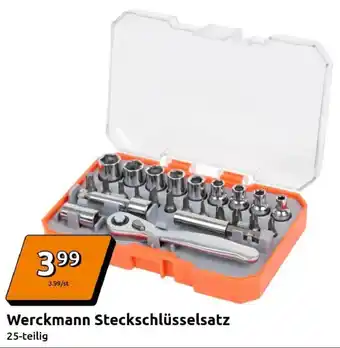 Action Werckmann Steckschlüsselsatz Angebot