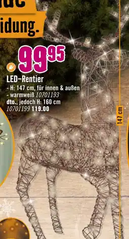 Hornbach Led-rentier Angebot