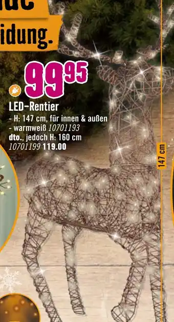 Hornbach Led-rentier Angebot