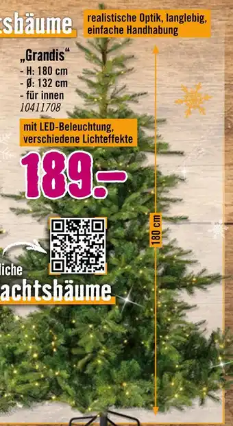 Hornbach Grandis Angebot