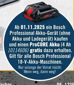 Hornbach Rabattaktion Angebot