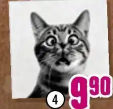 Hornbach Glasbild „funny cat i“ Angebot