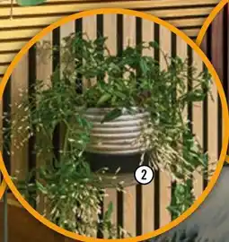 Hornbach Blumentopfring Angebot