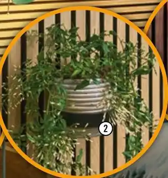 Hornbach Blumentopfring Angebot