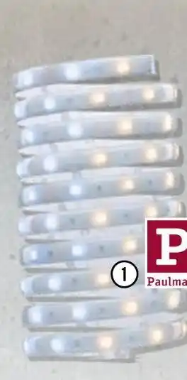 Hornbach Paulmann strip-basisset „maxled“ Angebot