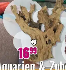Hornbach Aquariumdeko barico-wurzel Angebot