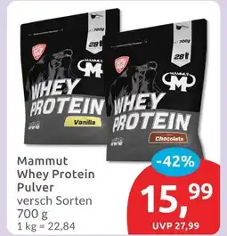 Budni Mammut whey protein vanilla Angebot