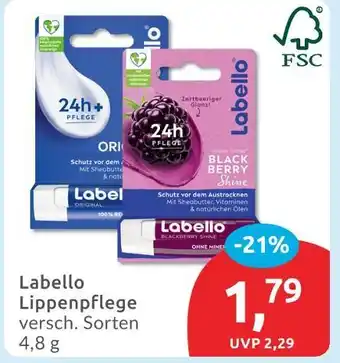 Budni Labello original Angebot