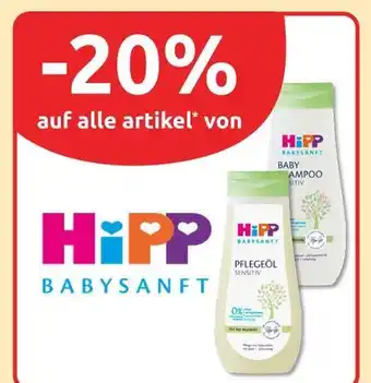 Budni Hipp baby shampoo sensitiv Angebot