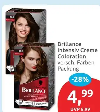 Budni Schwarzkopf brillance intensiv creme coloration Angebot