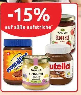 Budni Alnatura erdbeere Angebot
