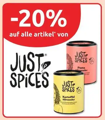 Budni Just spices -20% Angebot