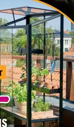 Hornbach Juliana Gewächshaus City Greenhouse Angebot