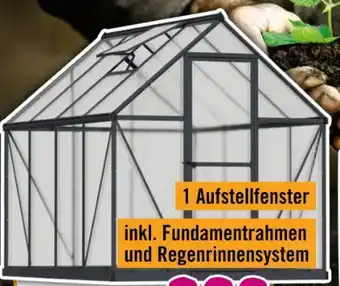 Hornbach Palram Gewächshaus Canopia Mythos Angebot