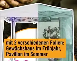 Hornbach Foliengewächshaus Angebot
